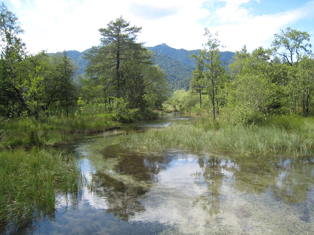  Kristallklares Wasser 