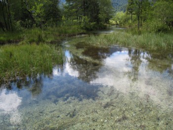  Kristallklares Wasser 